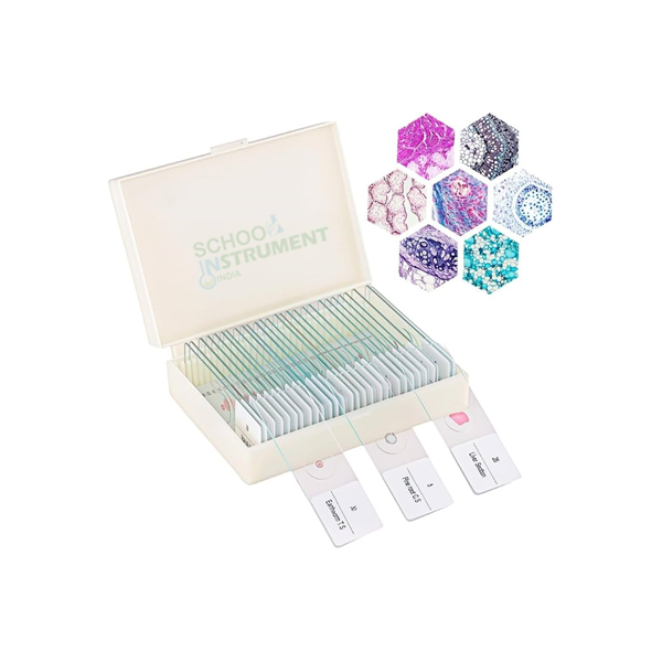 Prepared Slide Set of 25